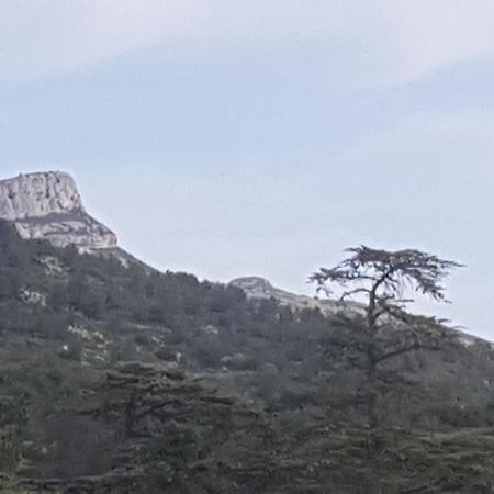 Charmant Appartement Neuf Le Taoume Marseilles Exterior foto