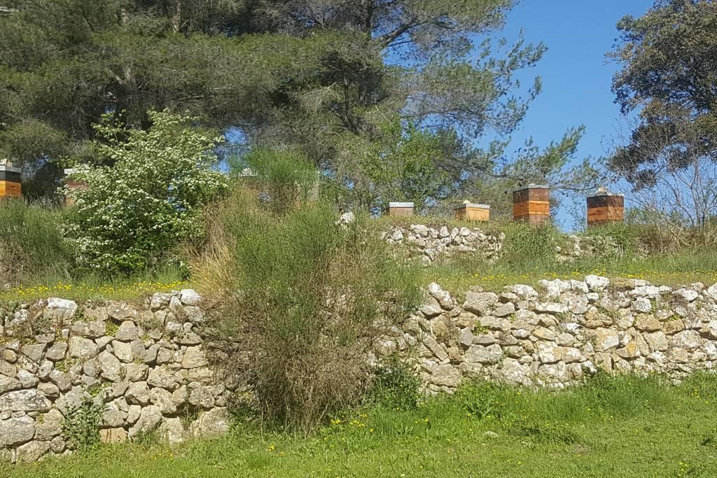 Charmant Appartement Neuf Le Taoume Marseilles Exterior foto